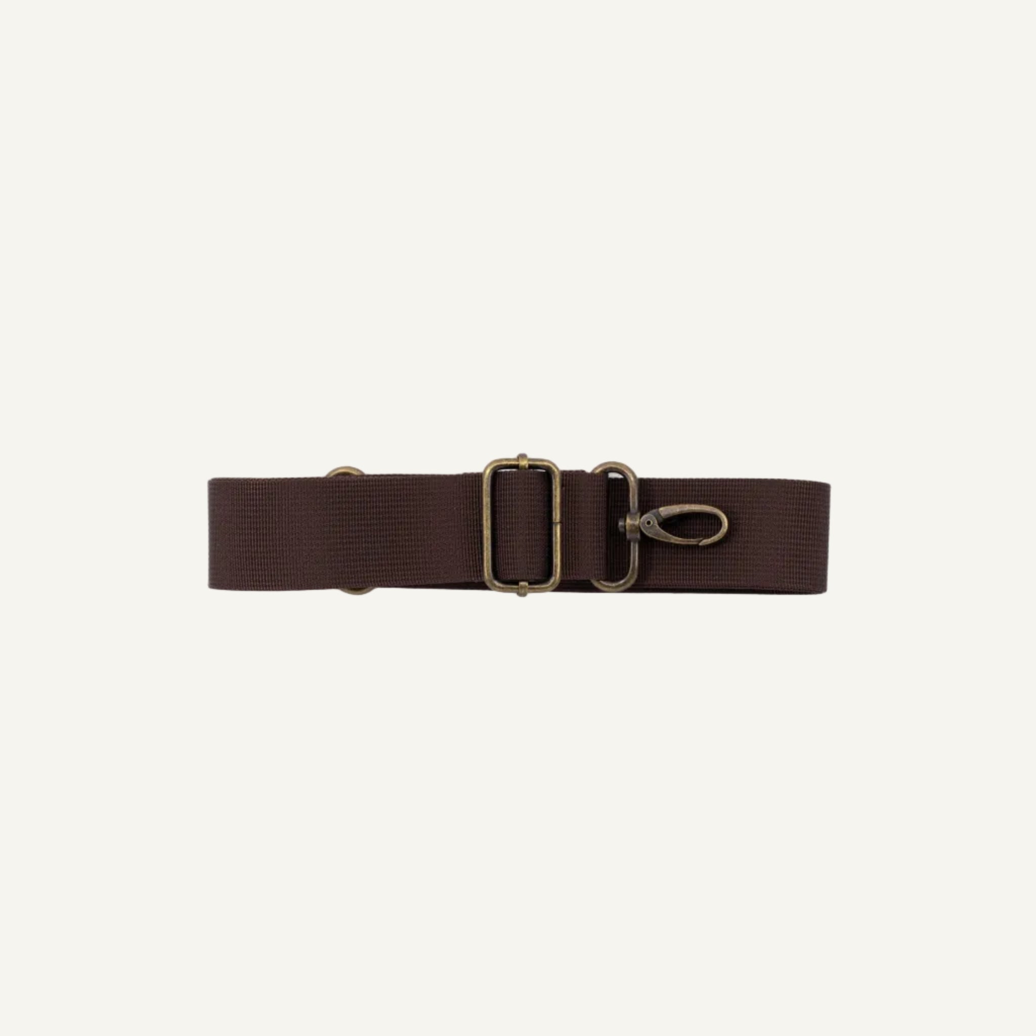 Brown strap with brass clip on a white background