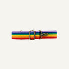 Multicolored striped strap with a gold clips on a white background