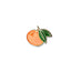 Mandarin Orange Enamel Pin